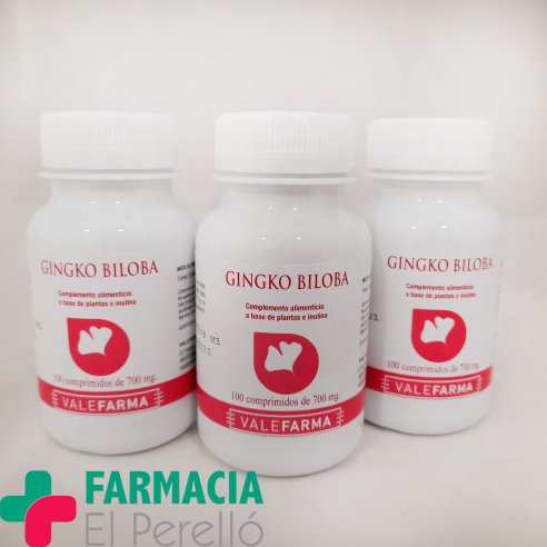 VALEFARMA GINGKO BILOBA 100 COMP  700MG