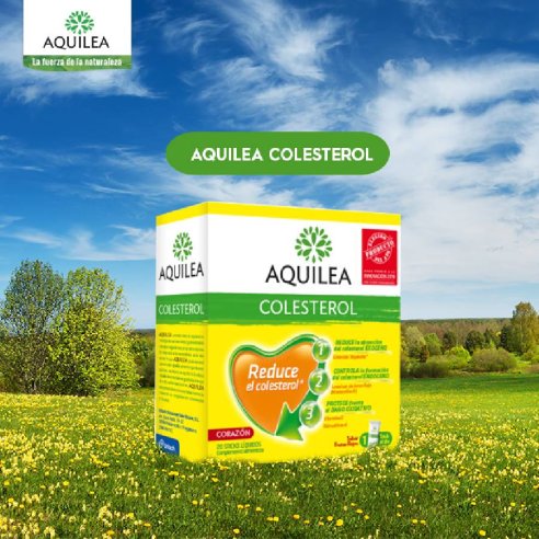 AQUILEA COLESTEROL  20 STICKS LIQUIDOS