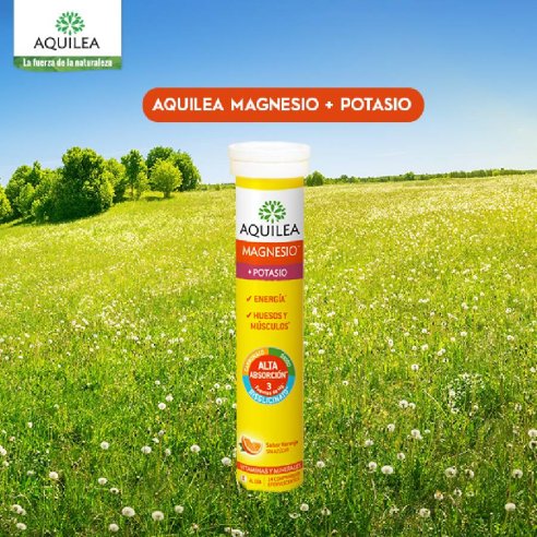 AQUILEA MAGNESIO POTASIO COMP EFERVESCENTE  14...