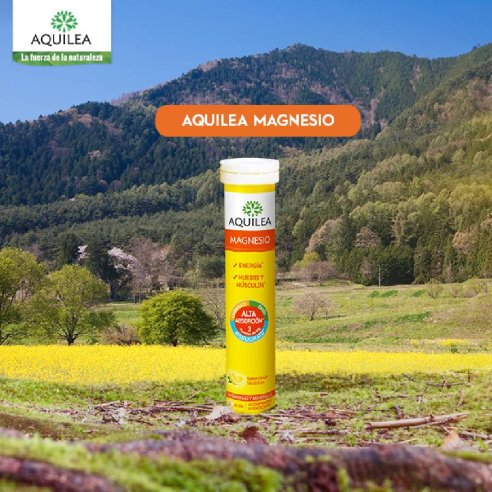 AQUILEA MAGNESIO COMP EFERVESCENTE  375 MG 14...